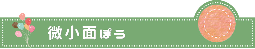 微小面ぽう