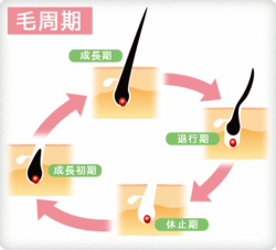 医療脱毛
