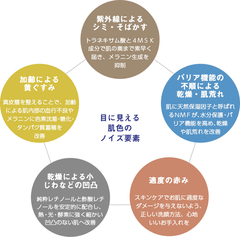 目に見える肌色のノイズ要素